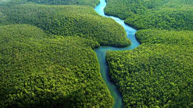 O governo do Peru declarou estado de emergência em 16 comunidades da Floresta Amazônica devido a vazamentos de petróleo 