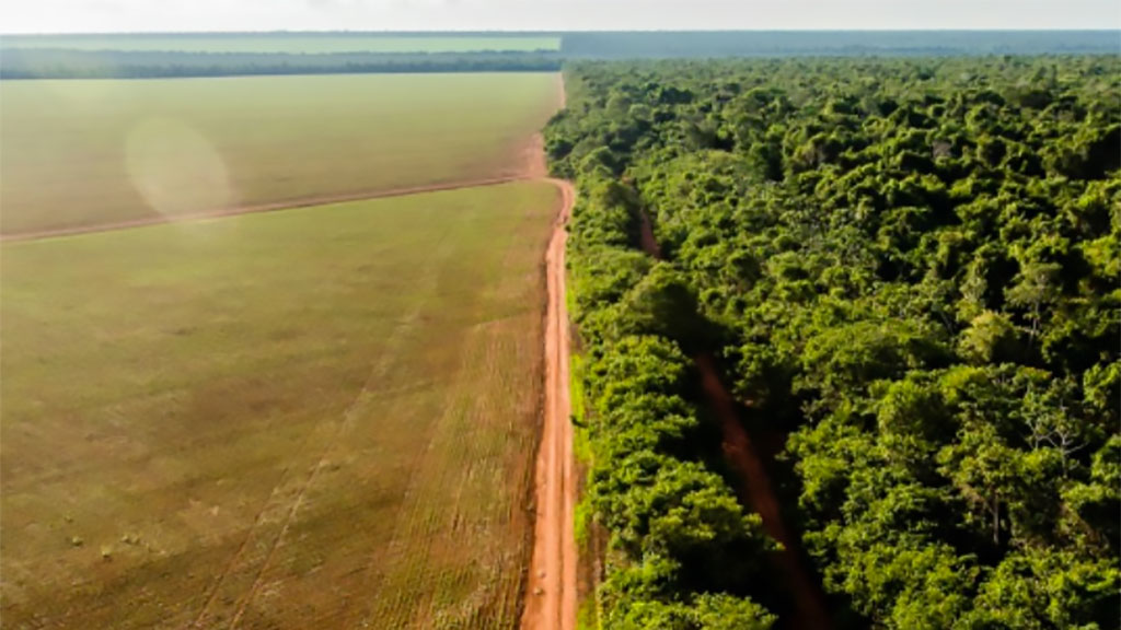A divisão entre os interesses do agronegócio e dos ambientalistas é visível na Amazônia