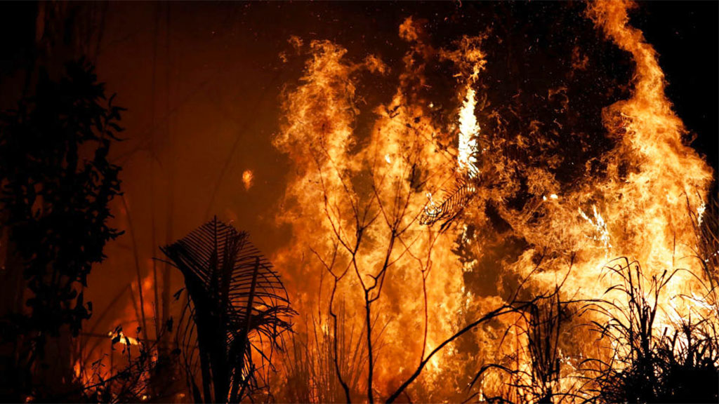 A Amazônia queima e o bioma é, ano após ano, destruído pela ação criminosa dos incendiários