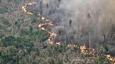 Amazônia e Pantanal enfrentam as piores queimadas em 17 anos, diz relatório
