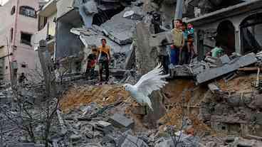 Aos que foram e aos que ficam: precisamos ser humanos