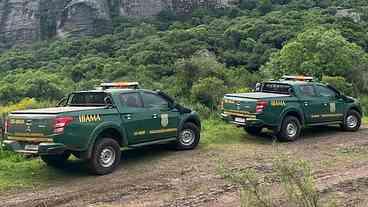 RS: Ibama emite notificações por fraudes no controle do javali