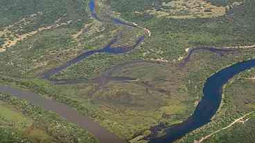 Maior parte da Mata Atlântica tem menos de 30% de vegetação nativa, diz estudo