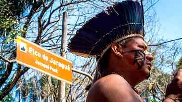 Povo guarani ajuda a conservar floresta, com apoio das abelhas