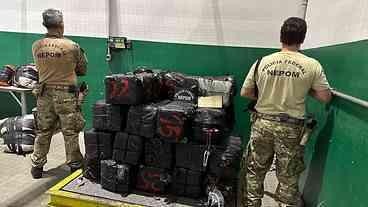 PF apreende mais de uma tonelada de cocaína em Santa Catarina