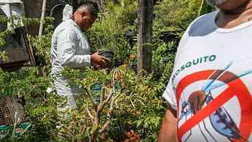 Minas Gerais vai receber novas tecnologias para controle da dengue