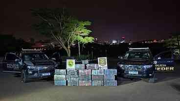 Policiais apreendem 423 kg de maconha nas margens do Rio Paraná