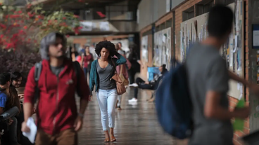Bolsas para Alunos Negros no Ensino Superior