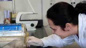 Biotecidos: O Futuro dos Testes de Medicamentos