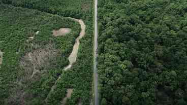 Impactos das Estradas nos Mangues da Amazônia