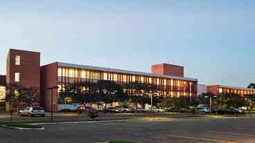 Café, chibata e diploma: um monumento à juventude negra