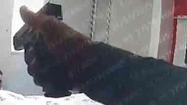 PMs Executam Suspeito Rendidos em Paraisópolis