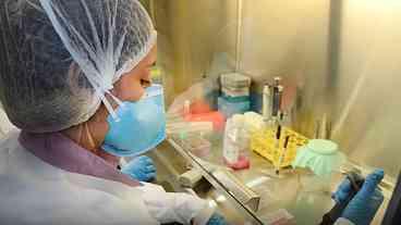 Vacina contra Zika da USP avança em testes com camundongos