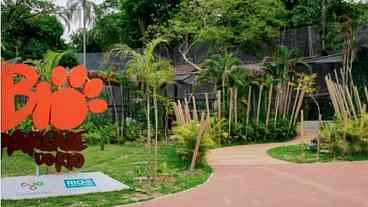 Gripe Aviária Confirmada no BioParque do Rio