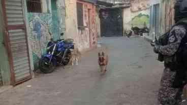 Criminosos atacam blindado da PM na Pedreira