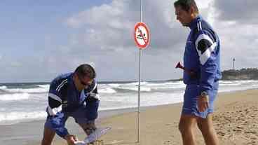 Águas-vivas paralisam usina nuclear na França