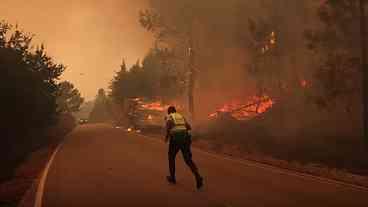 Incêndios Florestais na Europa: Impactos e Desafios