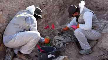 Iraque inicia exumação de vala comum do EI