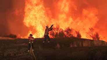 Espanha Registra Recorde em Área Queimada por Incêndios