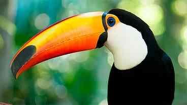 Riedel deixa PSDB e se junta ao PP