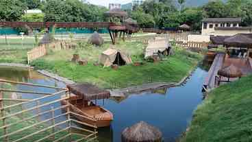Zoológico do Rio reabre após mortes de aves