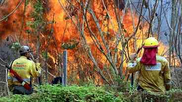 Bolívia Declara Emergência por Incêndios Florestais