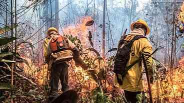 Brasil registra menor número de focos de calor em 12 anos