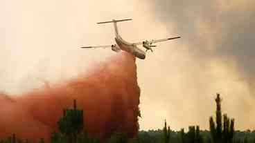 Incêndios Florestais na UE: Mais de 1 Milhão de Hectares Perdidos