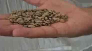 Operação Café Real: 3 Toneladas de Café Adulterado Apreendidas