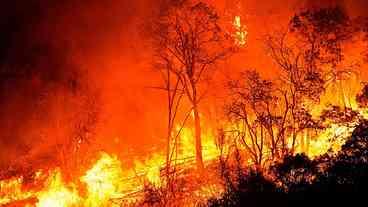 Salvar o fogo da chama que arde e nunca vai se apagar