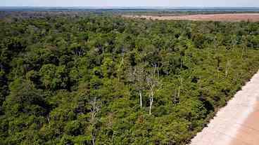 Brasil ocupa quarto lugar em assassinatos de ambientalistas
