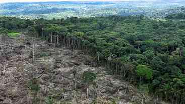UE adianta novo adiamento de lei contra desmatamento