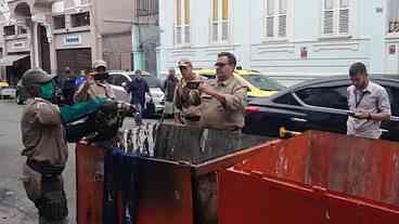 Aves Resgatadas Recebem Cuidados Antes de Voltar à Natureza