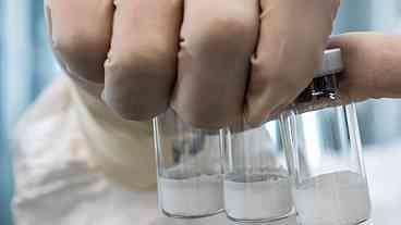 Butantan padroniza nomes de vírus da dengue