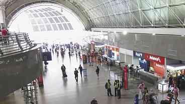 MPF Investiga Desmatamento em Área Protegida em Fortaleza