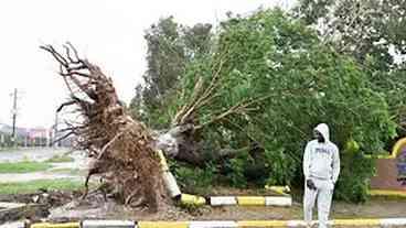 Furacão Melissa: Mortes e Destruição no Haiti