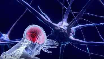 Unesco Orienta Uso Ético de Neurotecnologia