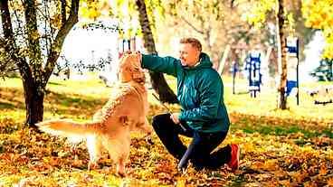 Cães e humanos: uma parceria de 14.400 anos