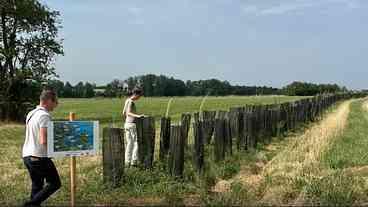 Agrofloresta: Solução Sustentável para o Clima