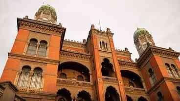 Fiocruz Inicia Testes em Humanos para AME