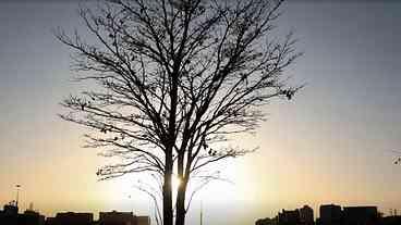 Previsão da OMM: La Niña Fraco em 2023