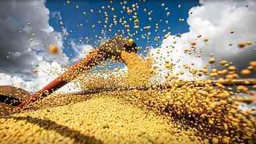 Pequim projeta importação recorde de soja em 2025