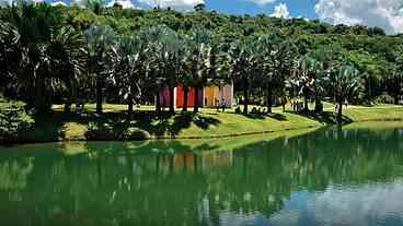 Inhotim bate recorde de visitantes em 2025