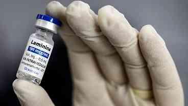 Anvisa Autoriza Estudo de Medicamento para Lesões na Medula