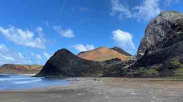 Plástico Ameaça Tartarugas na Ilha da Trindade
