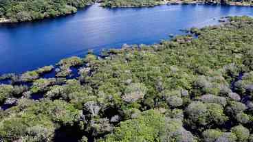 Empresas do Master lucram com terras públicas na Amazônia