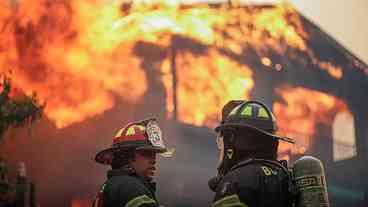 Incêndios Florestais e Calor no Chile: Tragédia e Destruição
