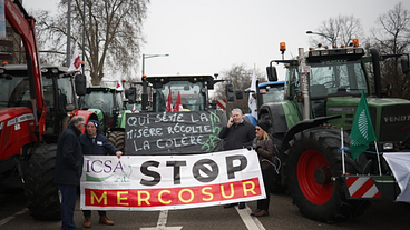 Protestos de Agricultores contra Acordo UE-Mercosul