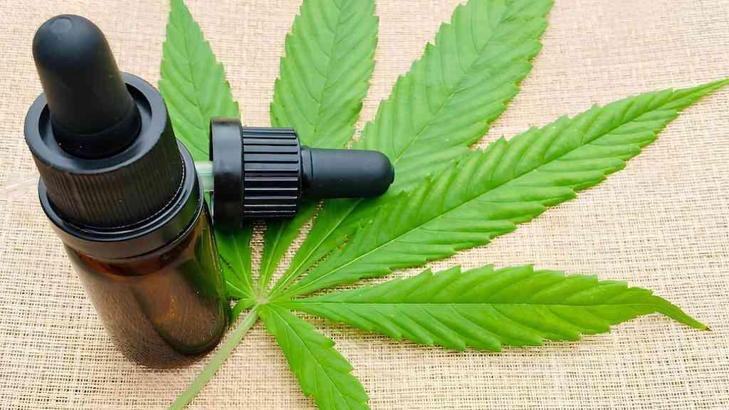 Anvisa discute regras para cultivo medicinal de cannabis