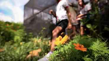 Dia da Educação Ambiental: Conscientização e Ação